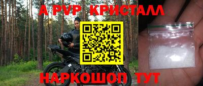 индика Нальчик