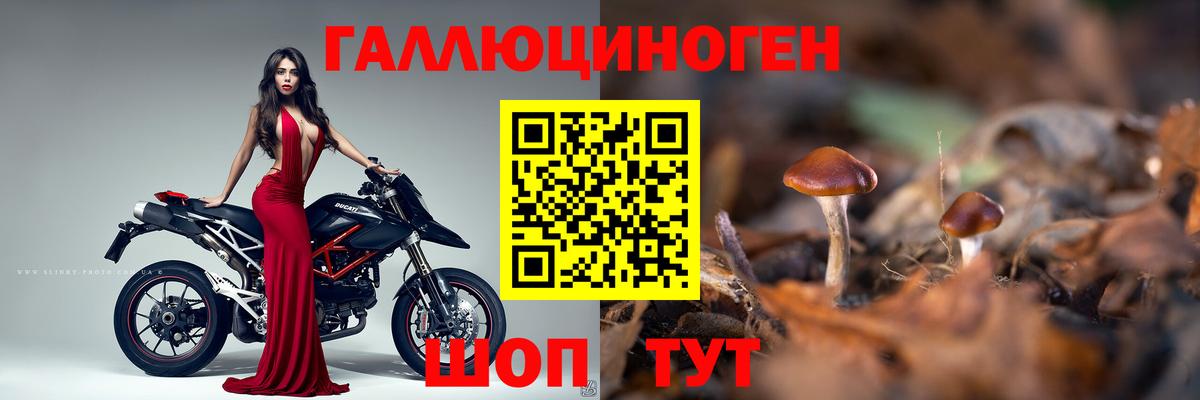 Галлюциногенные грибы Magic Shrooms Сосновоборск